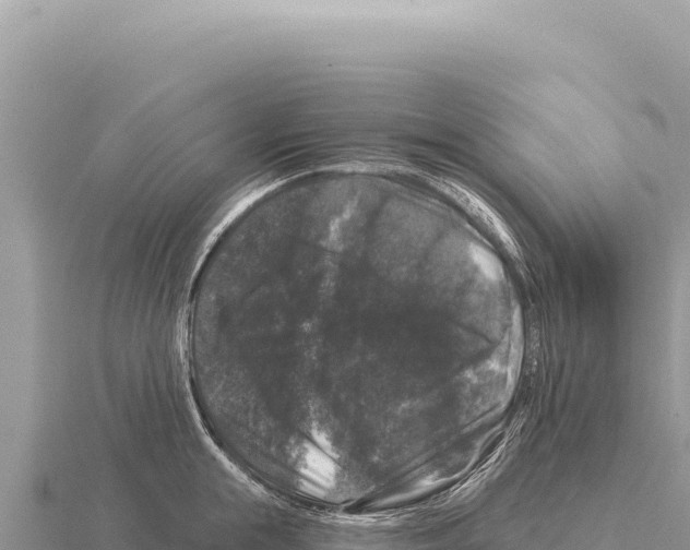 X0000116010855200912171009