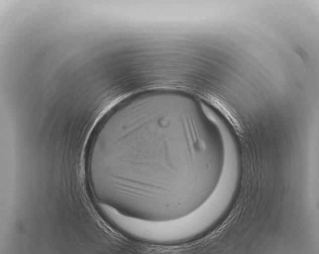 X0000116010884200912171009