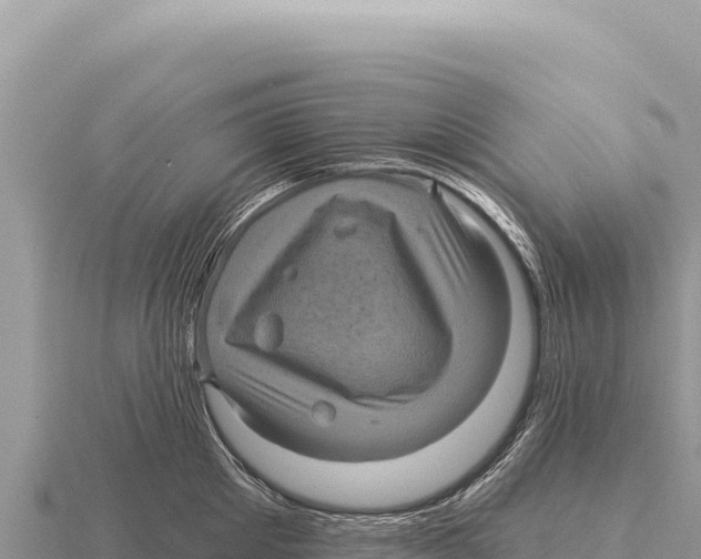 X0000116010905200912171008