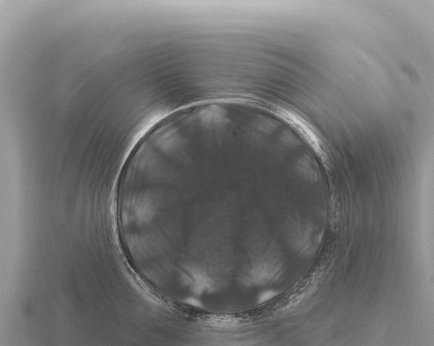 X0000116010907200912171008