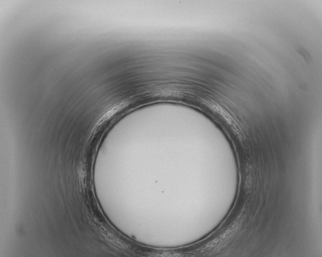 X0000116010922200912171008