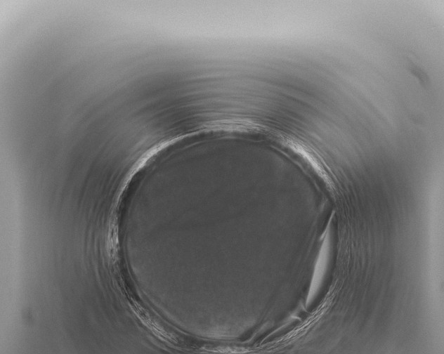 X0000116010923200912171008