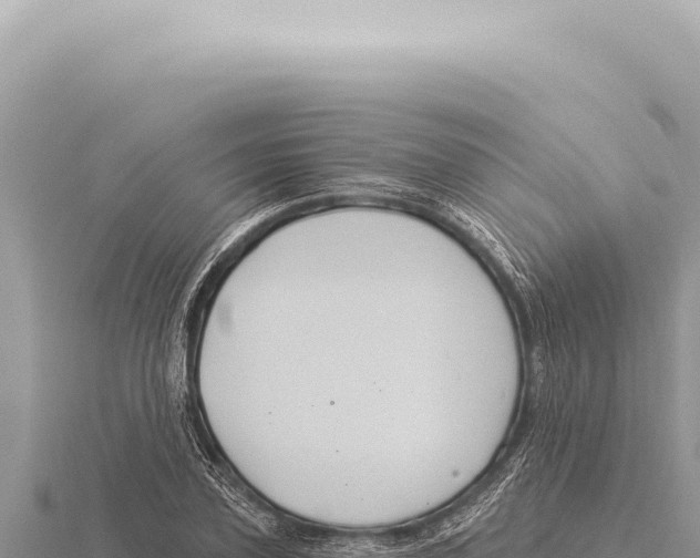 X0000116010931200912171008