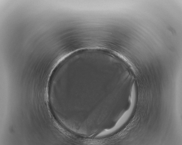X0000116010935200912171008