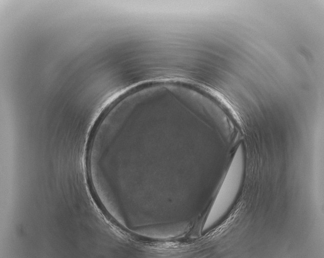 X0000116010943200912171008