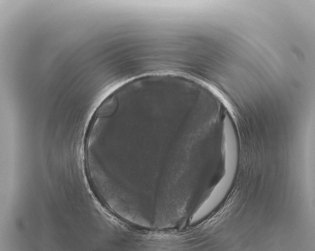 X0000116010951200912171008