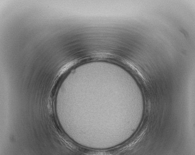 X0000116010970200912171008