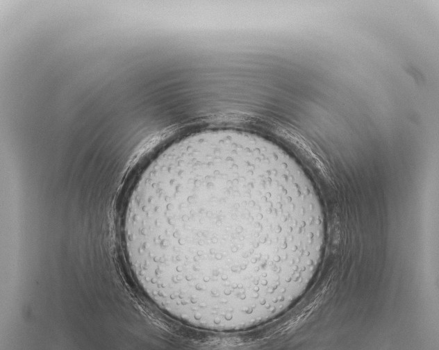 X0000116010978200912171007