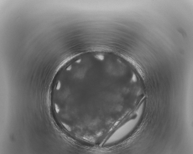 X0000116010983200912171007