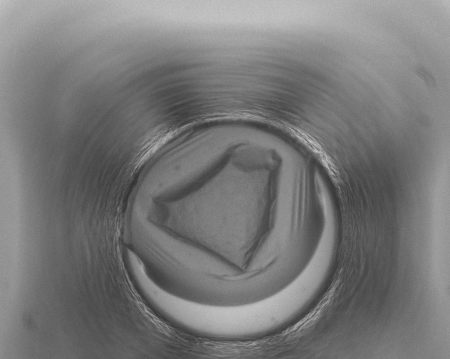 X0000116010985200912171007