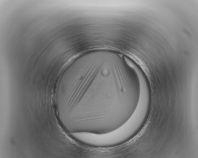 X0000116010993200912171007