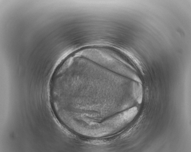 X0000116010998200912171007