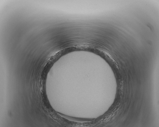X0000116011016200912171007