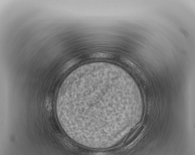 X0000116011017200912171007