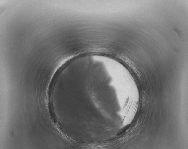 X0000116011024200912171007