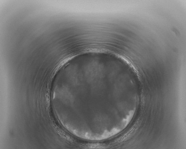 X0000116011025200912171007