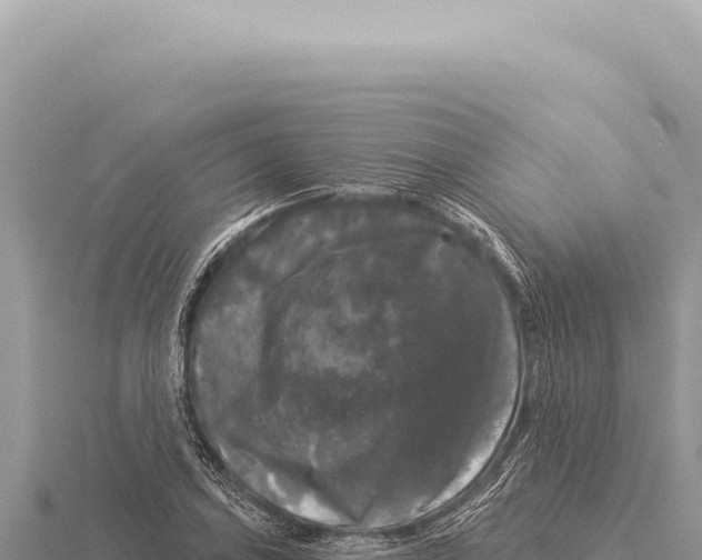 X0000116011027200912171007
