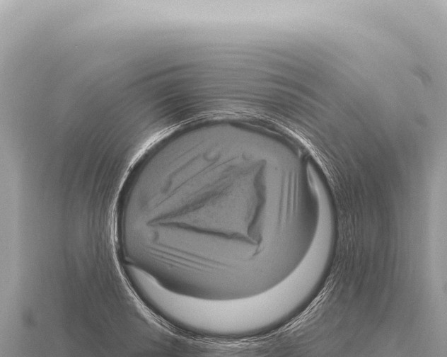X0000116011034200912171007