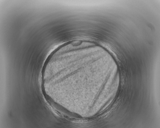 X0000116011040200912171007