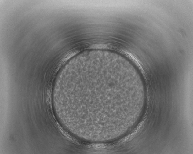 X0000116011041200912171007
