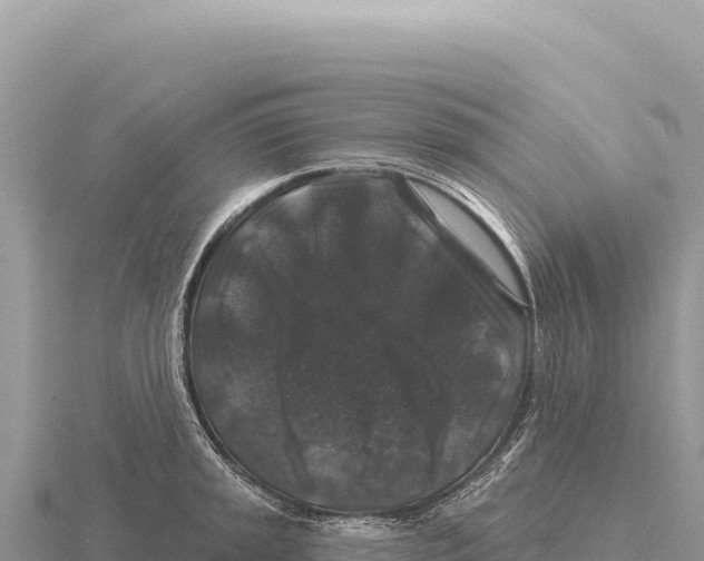 X0000116011045200912171007
