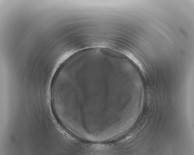 X0000116011088200912171006