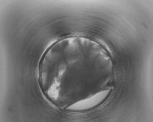 X0000116011095200912171006