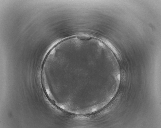 X0000116011100200912171006