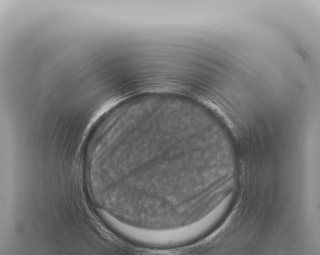 X0000116011114200912171005