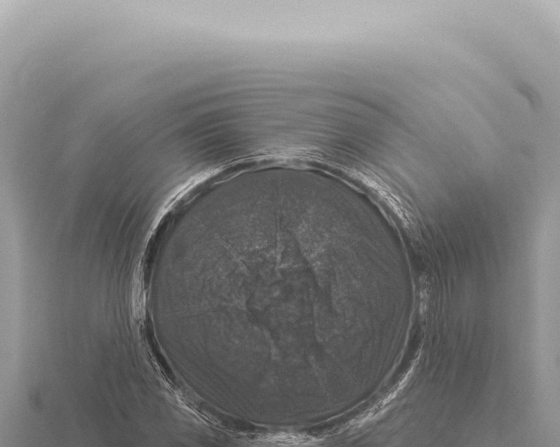 X0000116011117200912171005