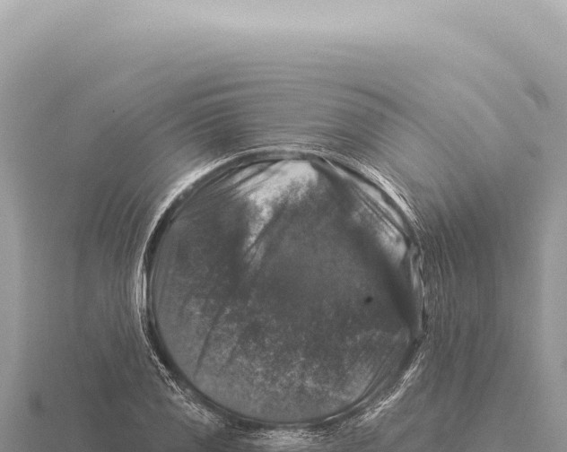 X0000116011125200912171005