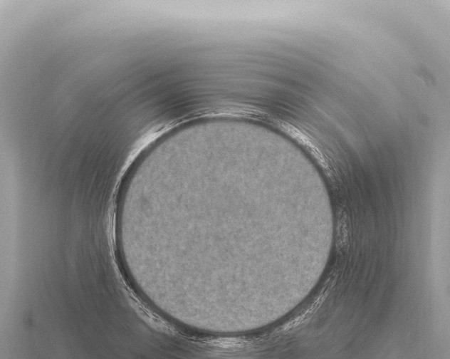 X0000116011130200912171005