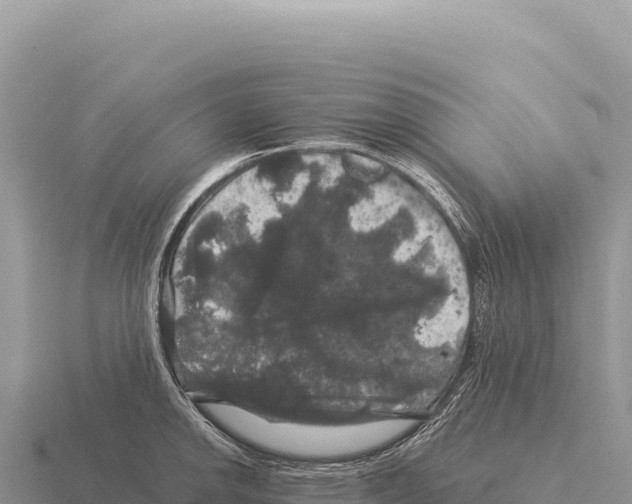 X0000116011142200912171006