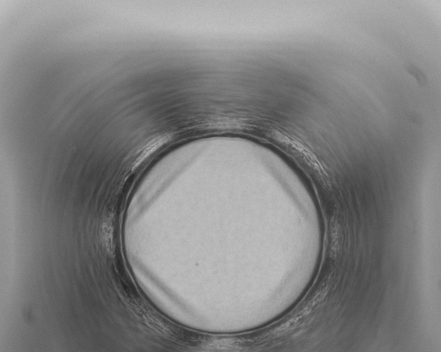 X0000116011162200912171005