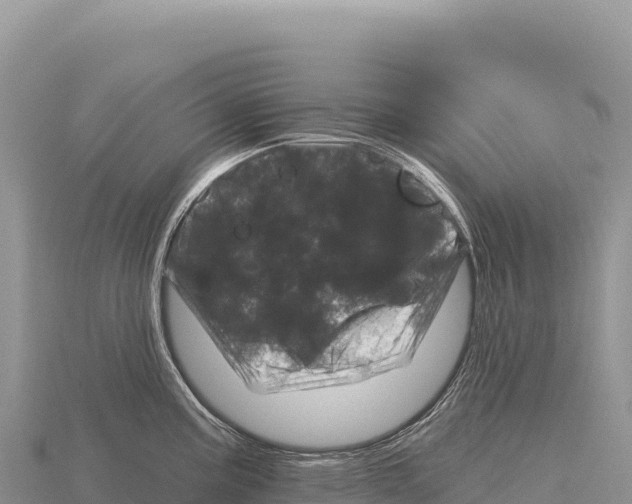 X0000116011195200912171005