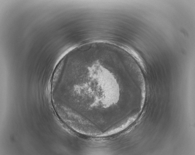 X0000116011198200912171004