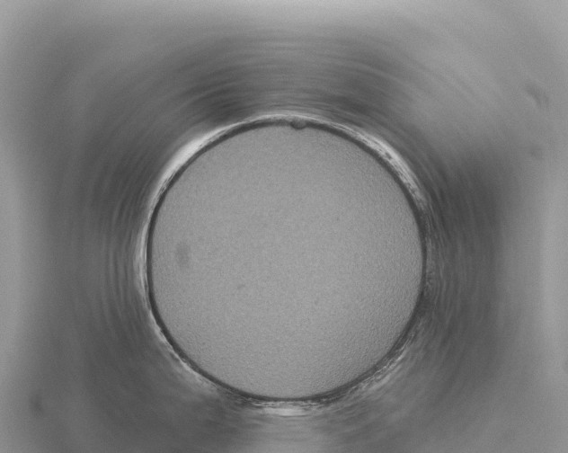 X0000116011199200912171004