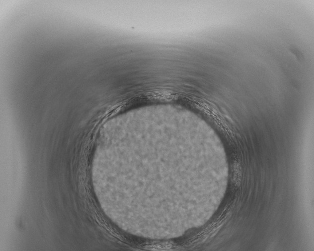 X0000116011201200912171004