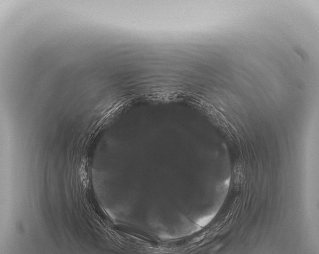 X0000116011202200912171004