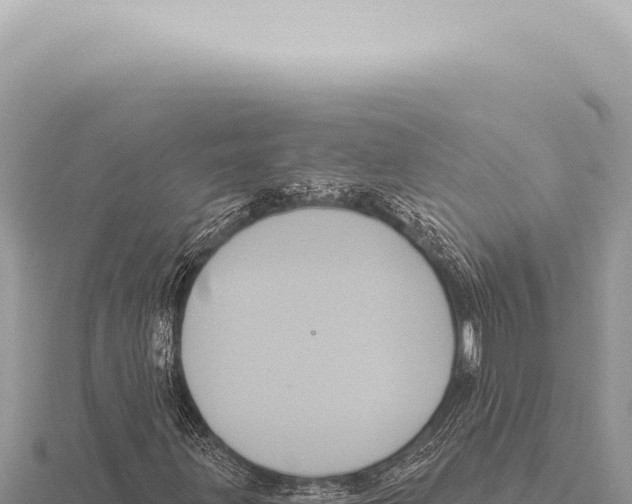 X0000116011203200912171004