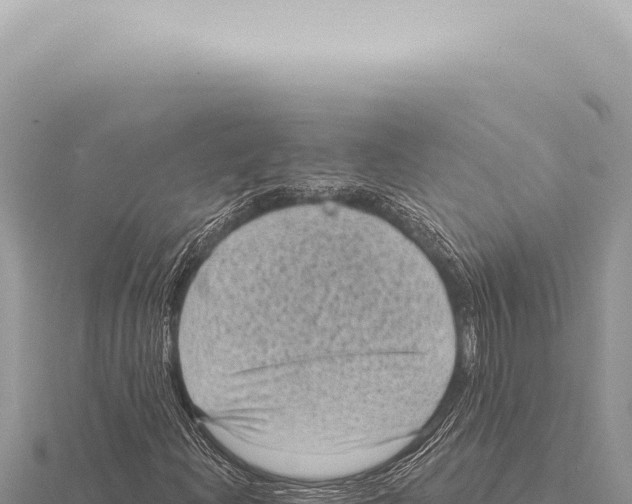 X0000116011204200912171004