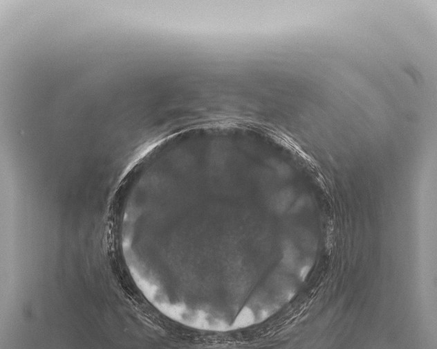 X0000116011208200912171004