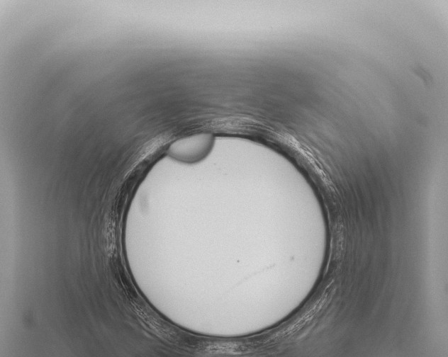 X0000116011211200912171004