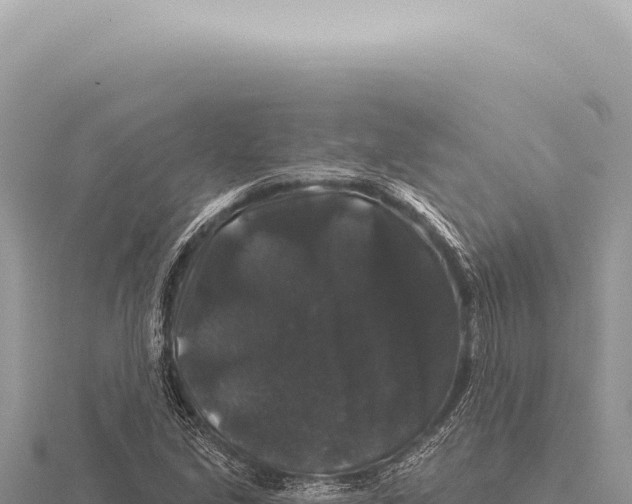 X0000116011213200912171004