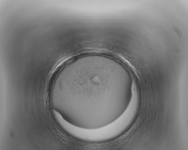 X0000116011215200912171004