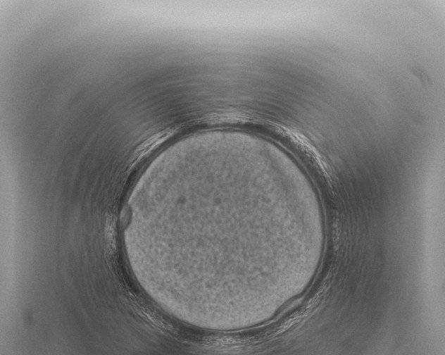 X0000116011217200912171004