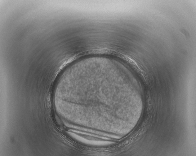 X0000116011218200912171004