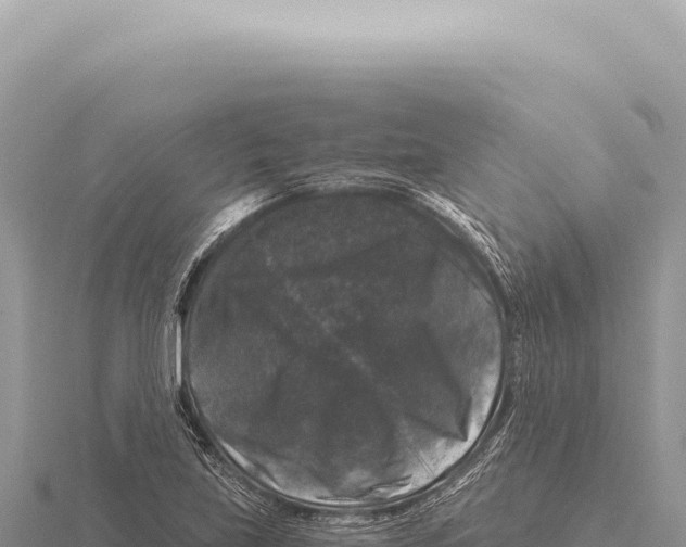 X0000116011219200912171004