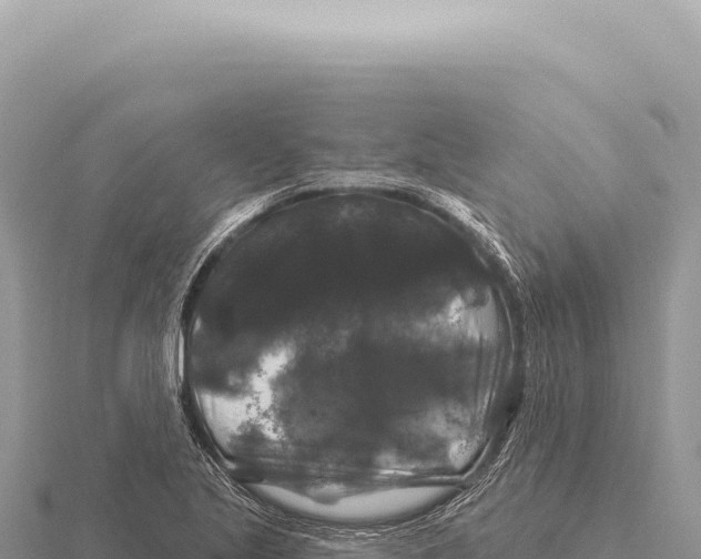 X0000116011221200912171004