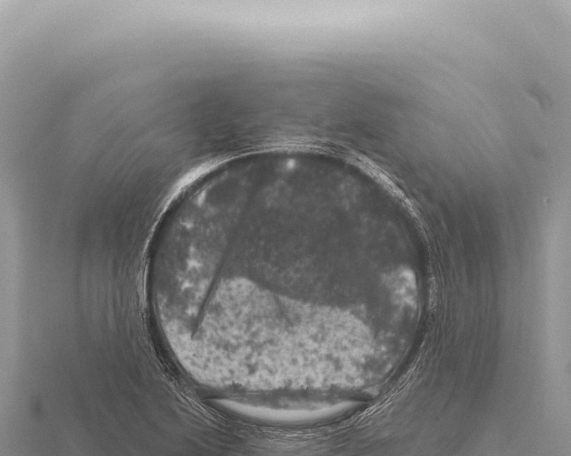 X0000116011222200912171004